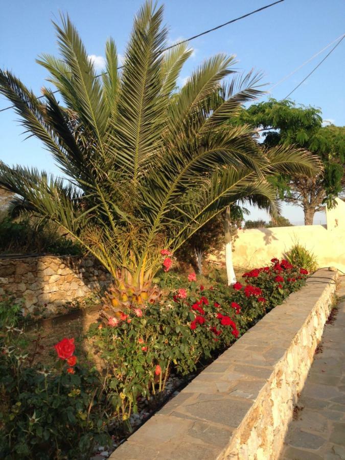 Villa The Stone House à Potamos  Extérieur photo